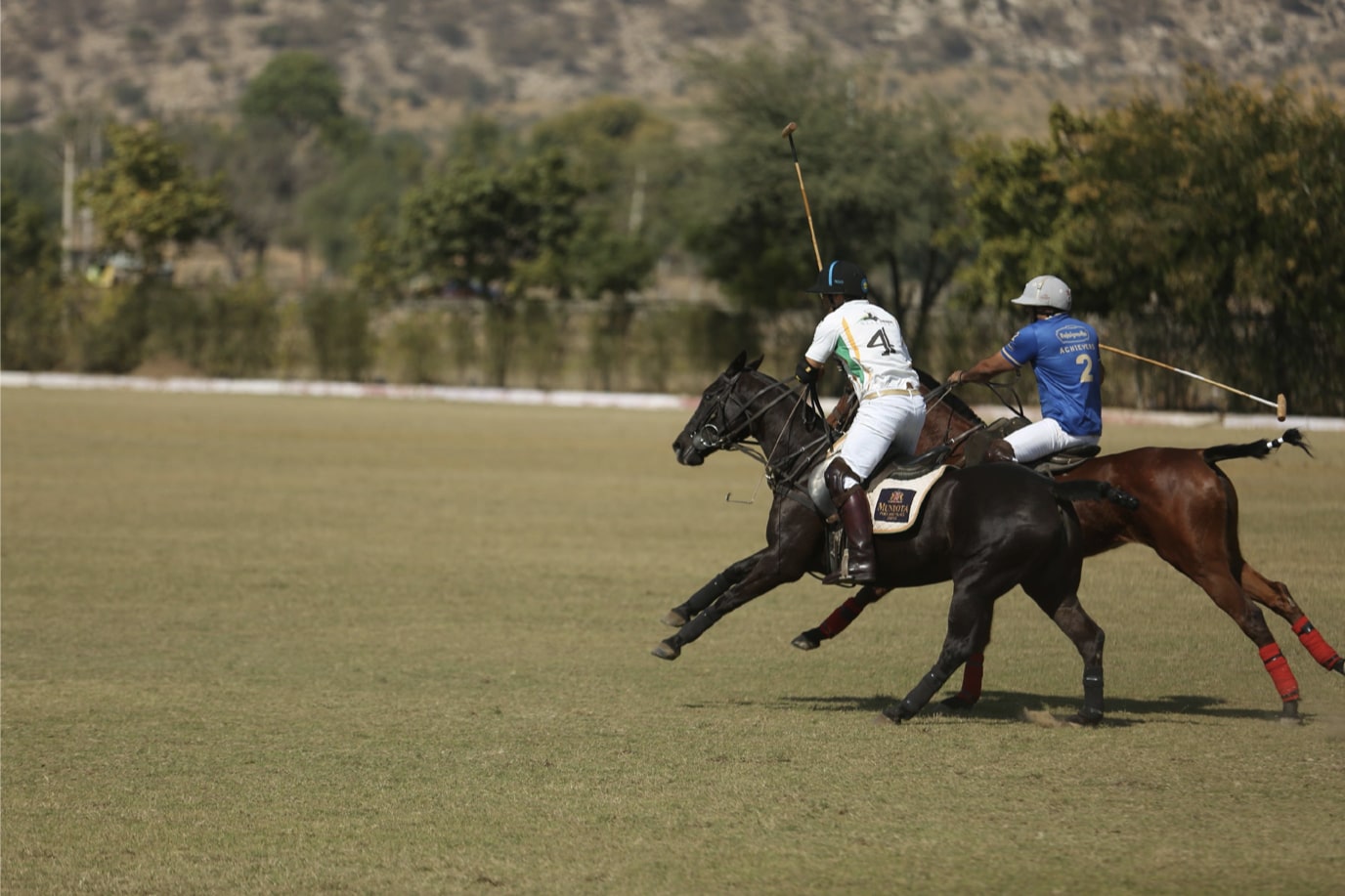 CC Website Images Compressed.003-min